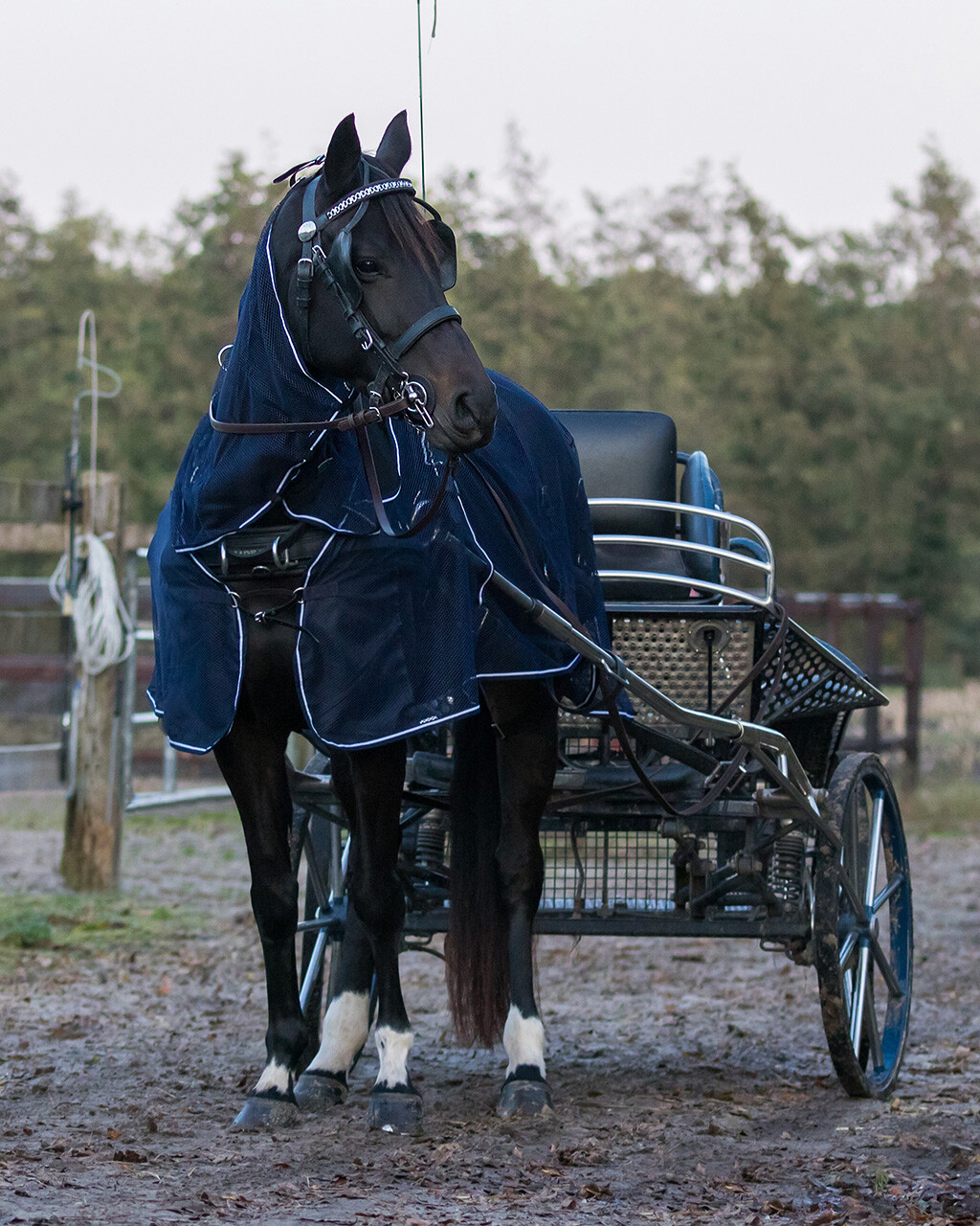 Driving fly rug with neck