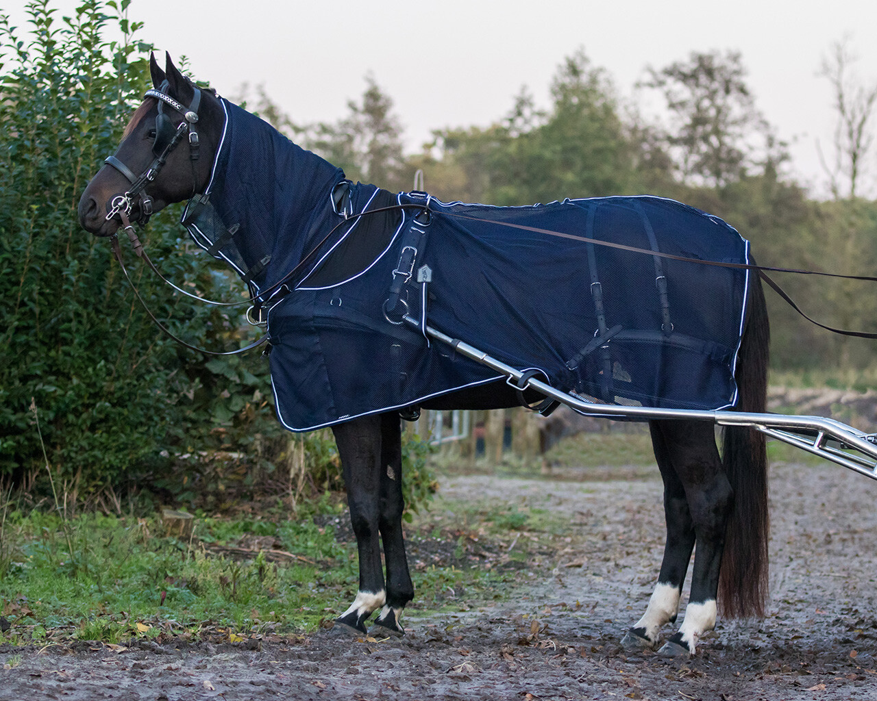 Driving fly rug with neck