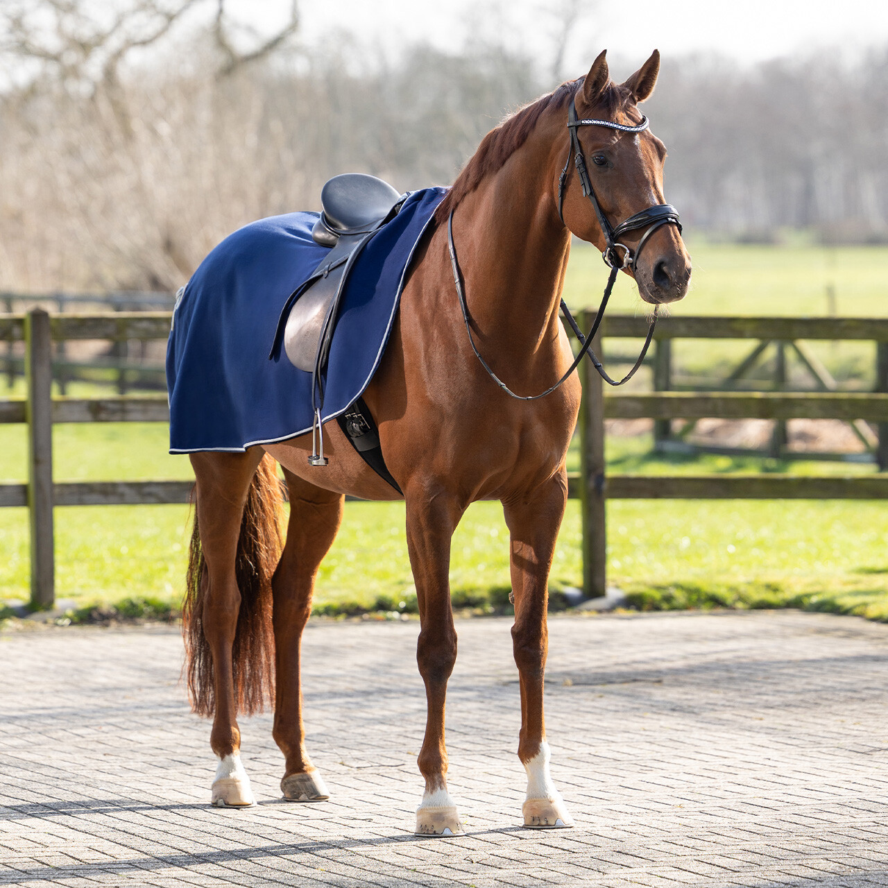 Exercise rug fleece ornament