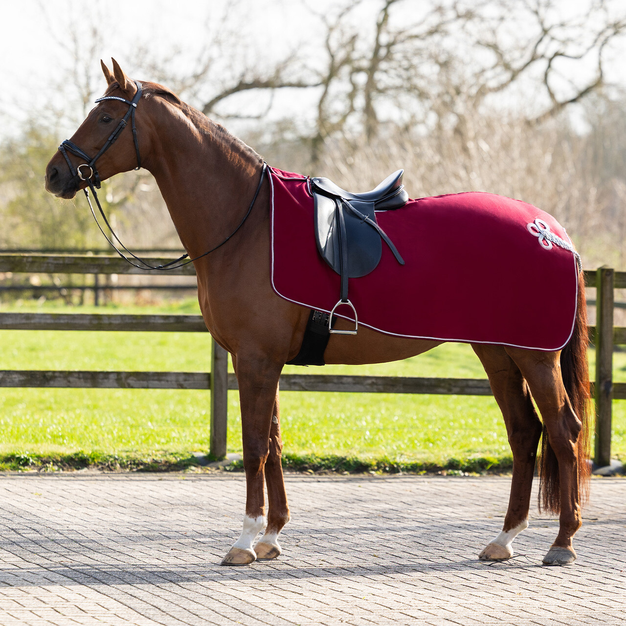 Exercise rug fleece ornament