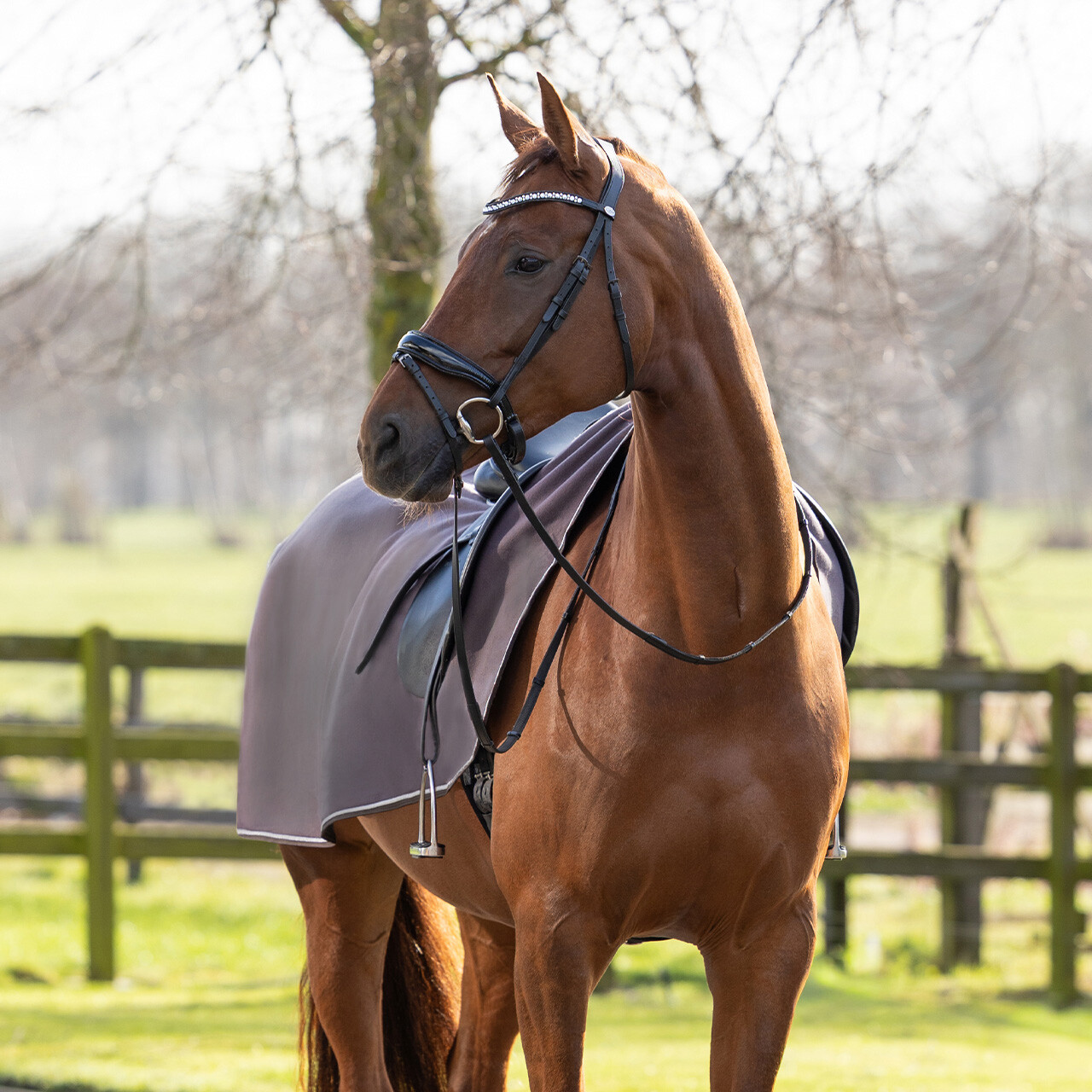 Exercise rug fleece ornament