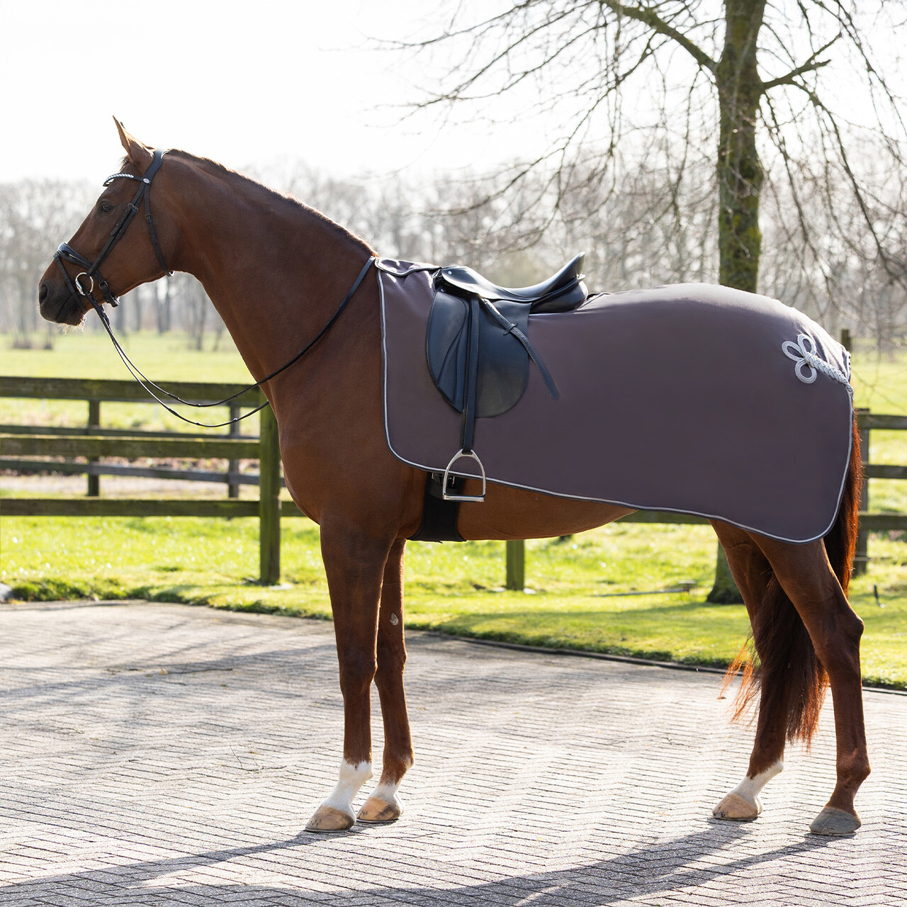 Exercise rug fleece ornament