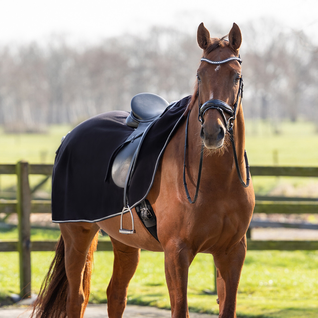 Exercise rug fleece ornament