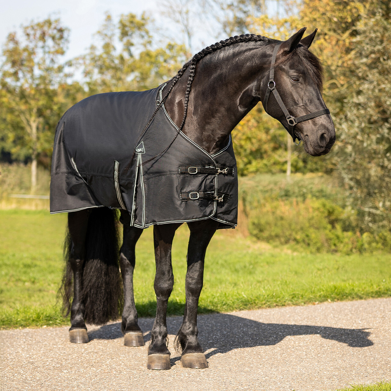 Turnout rug Big neck 300gr