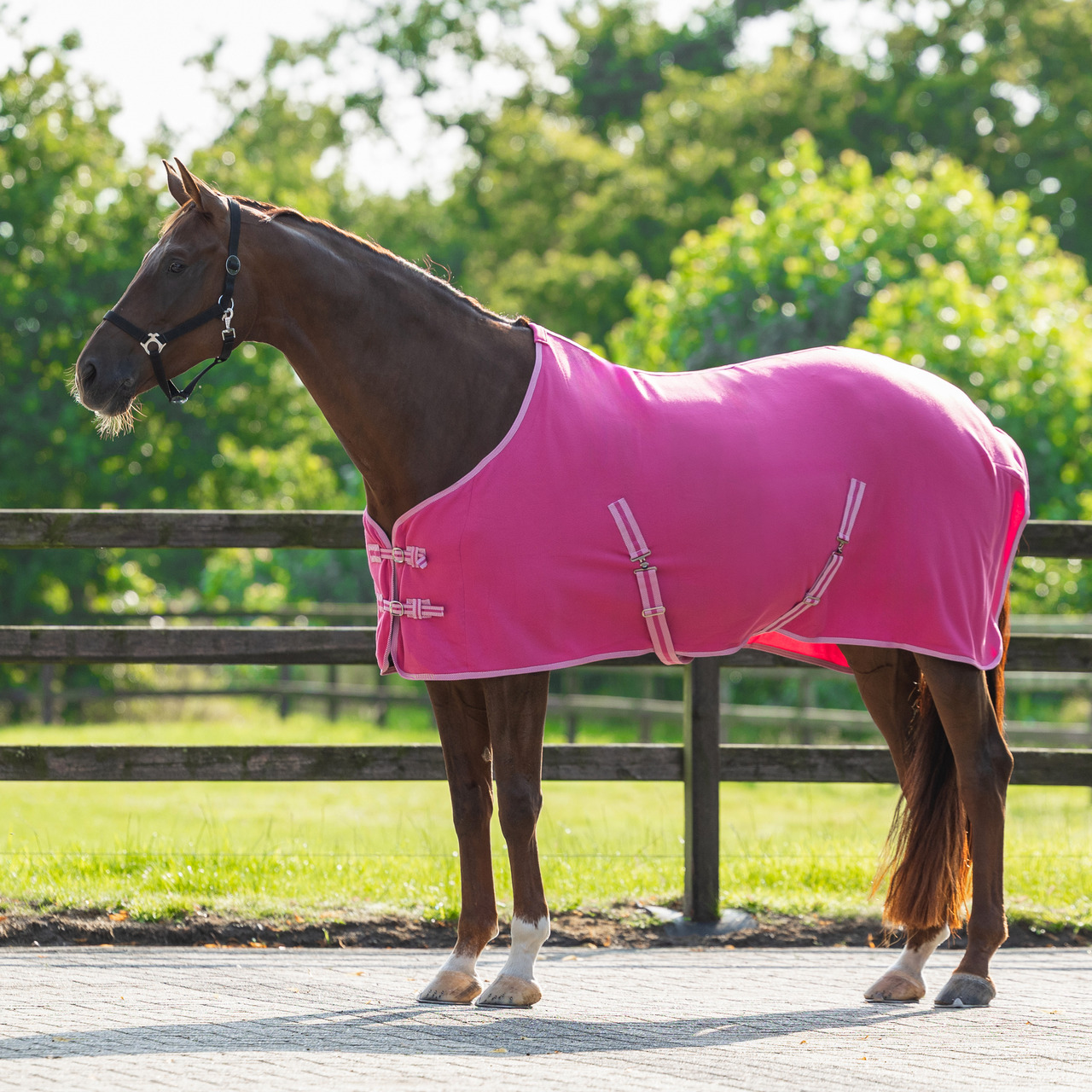 Fleece rug Color with cross surcingles