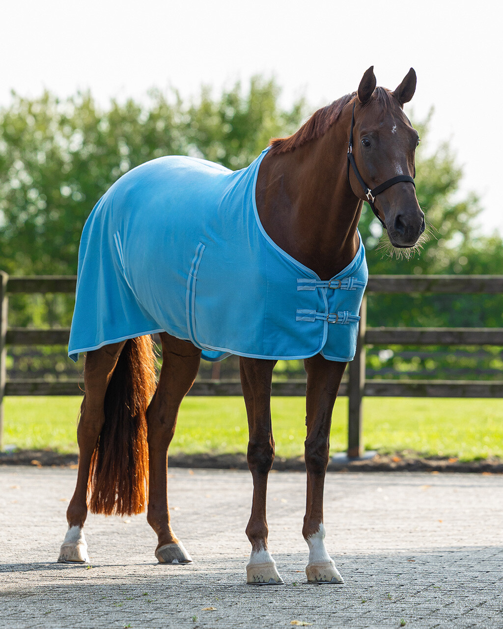 Fleece rug Color with cross surcingles