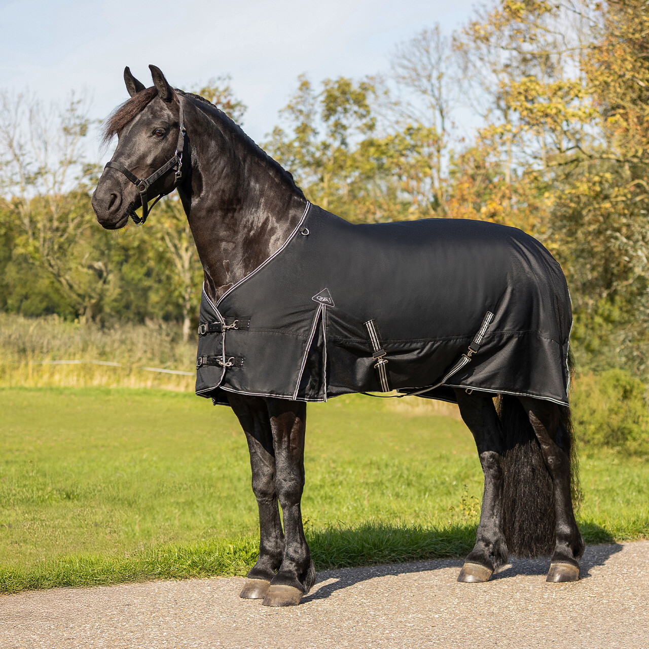 Turnout rug Big neck 0gr