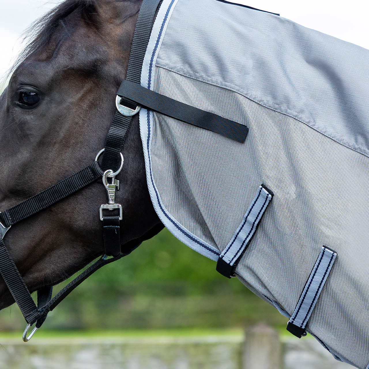 Fly rug Combo with neck