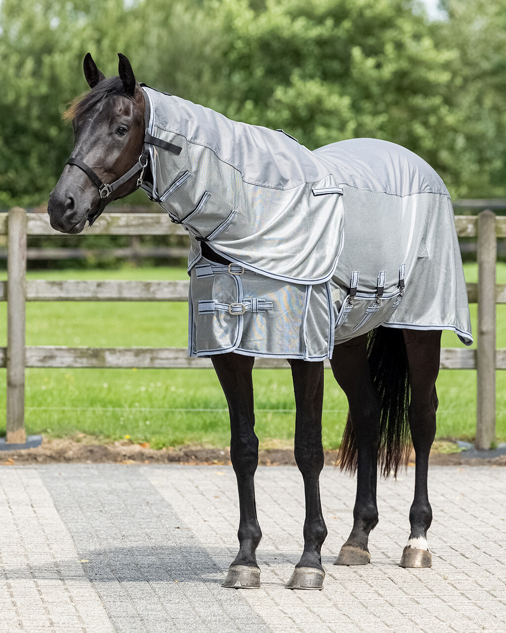 Fly rug Combo with neck