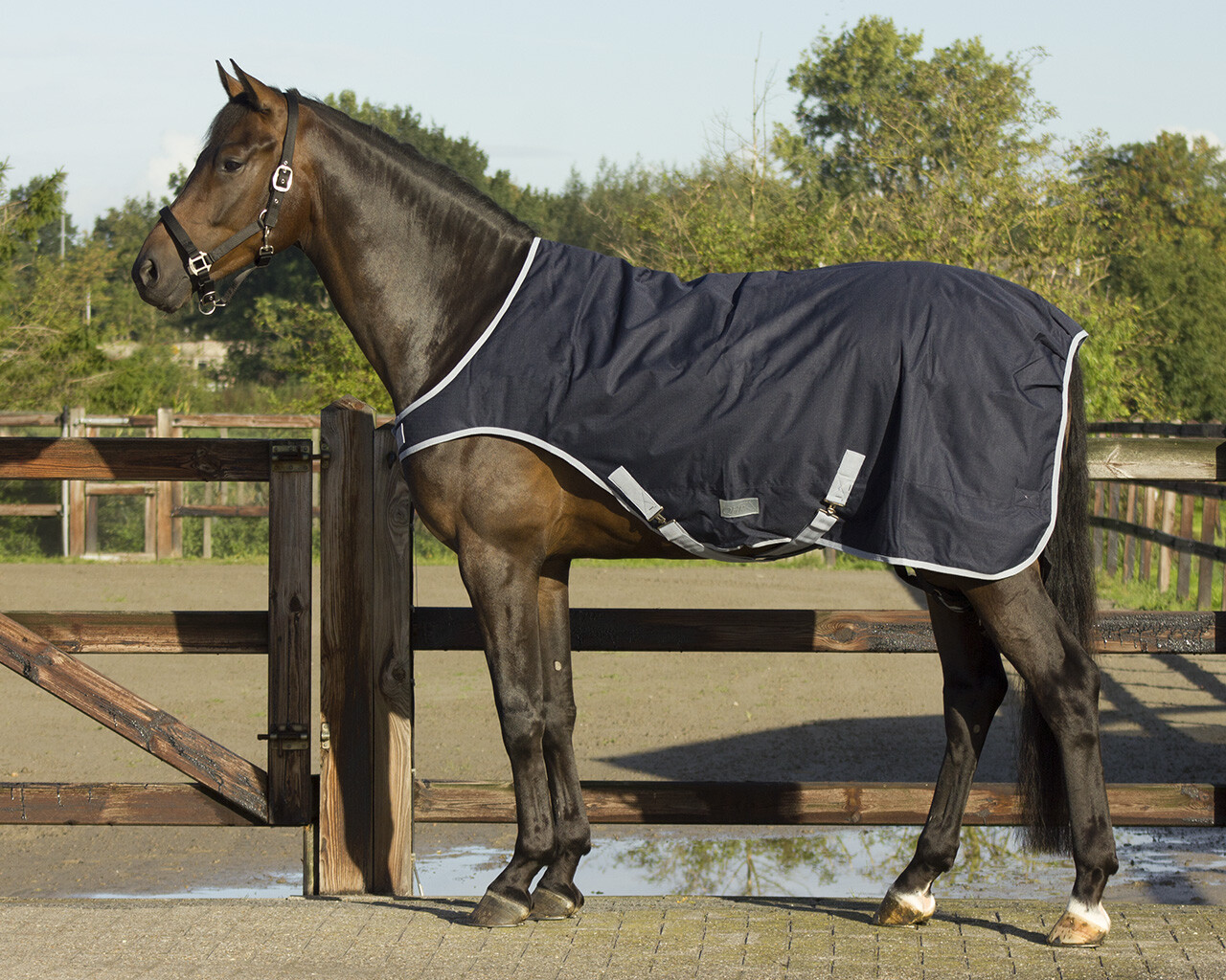 Walker rug waterproof 0gr