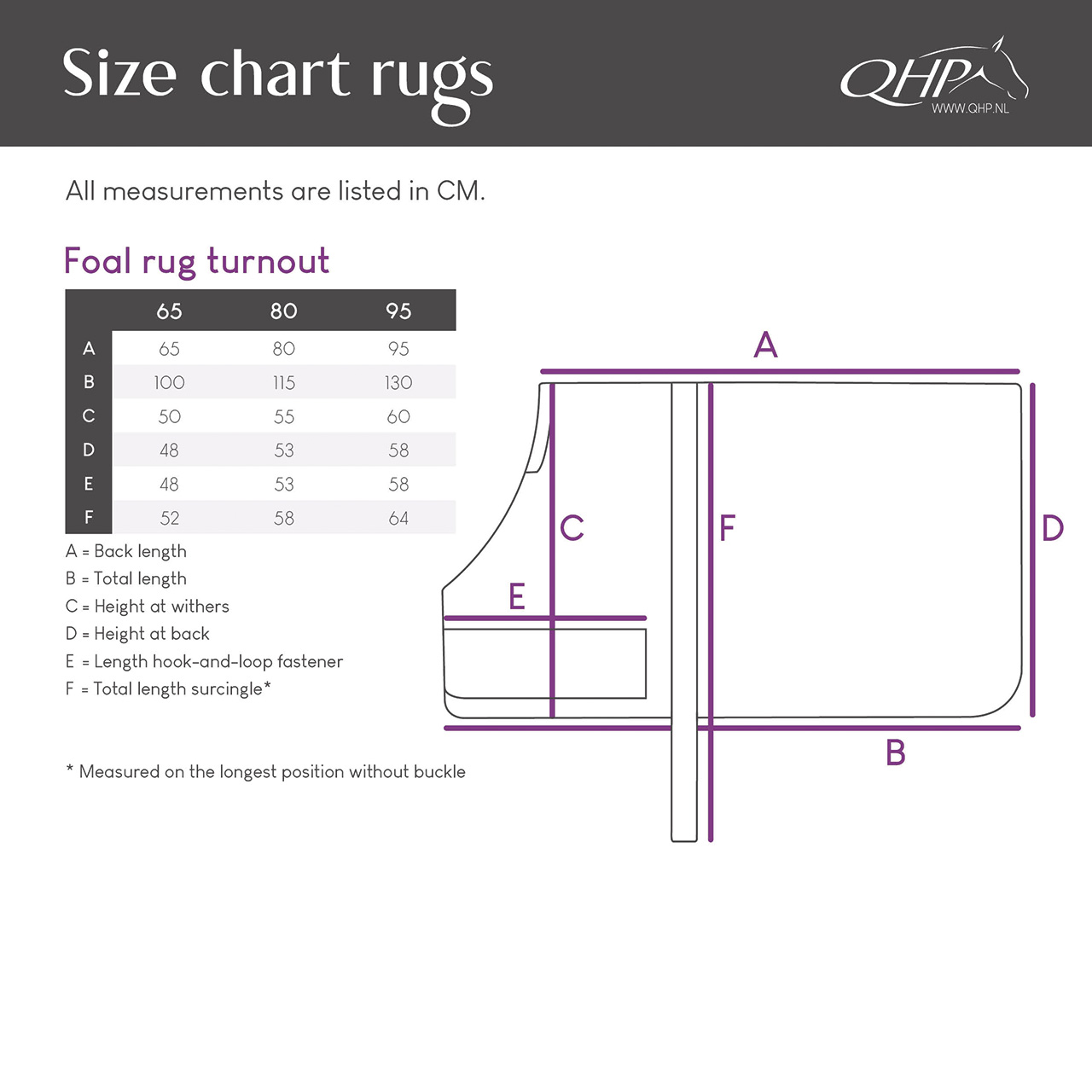 Foal rug turnout 100gr
