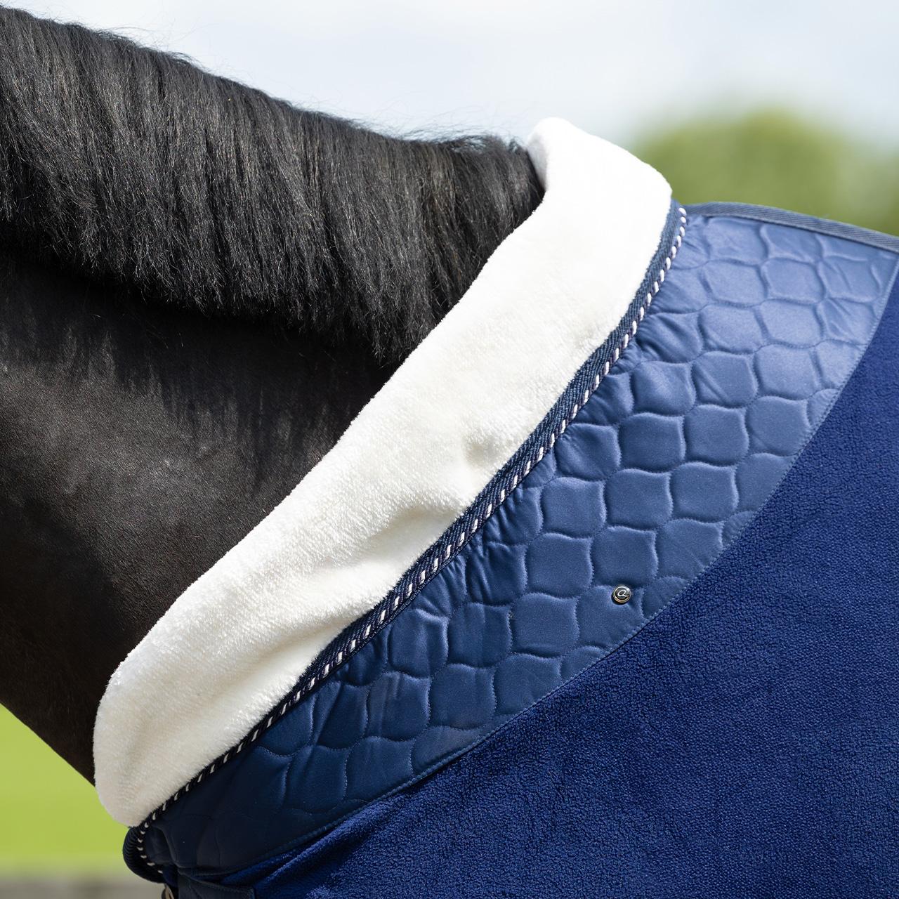 Fleece rug Brilliance