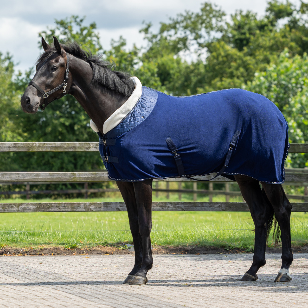 Fleece rug Brilliance