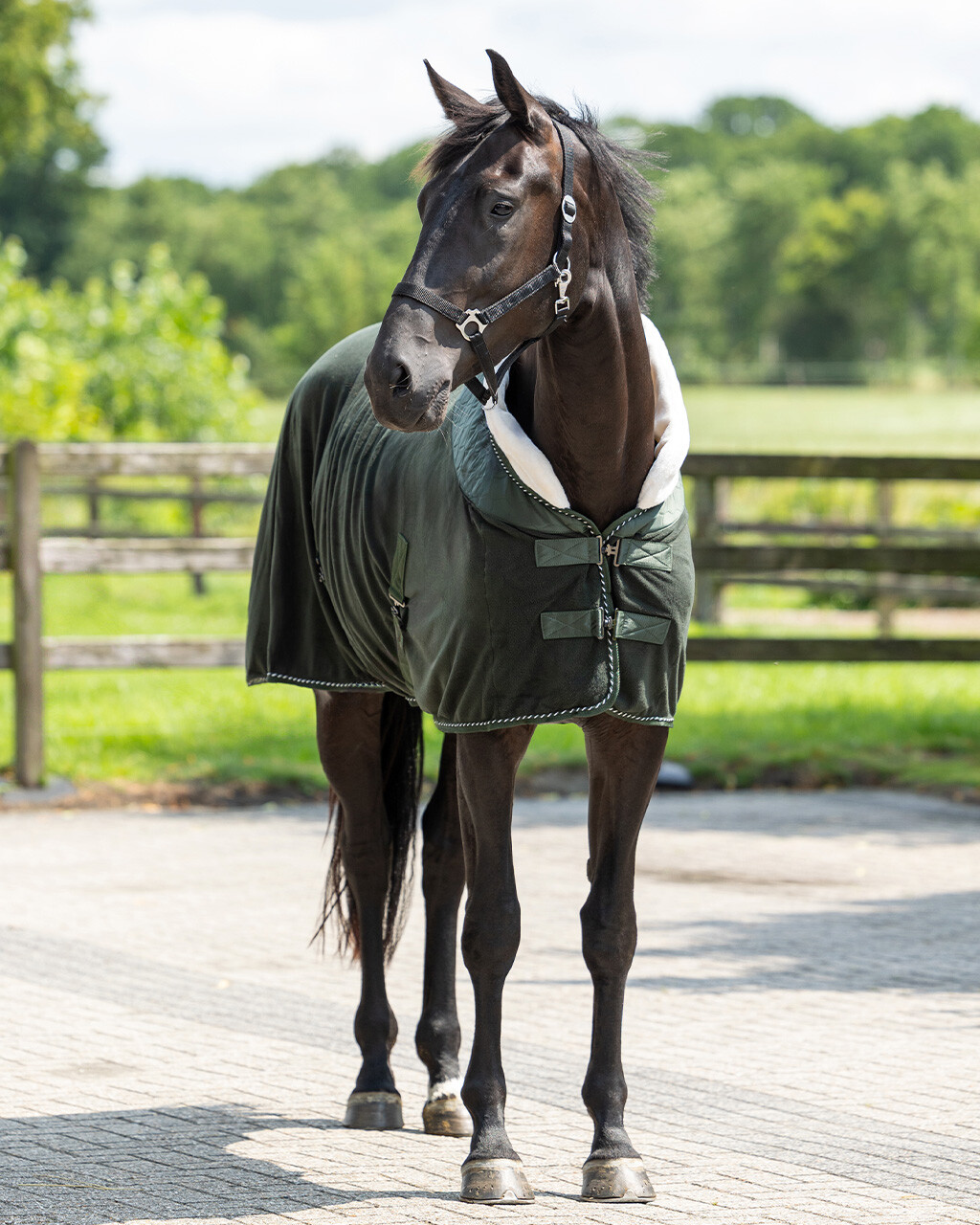Fleece rug Brilliance