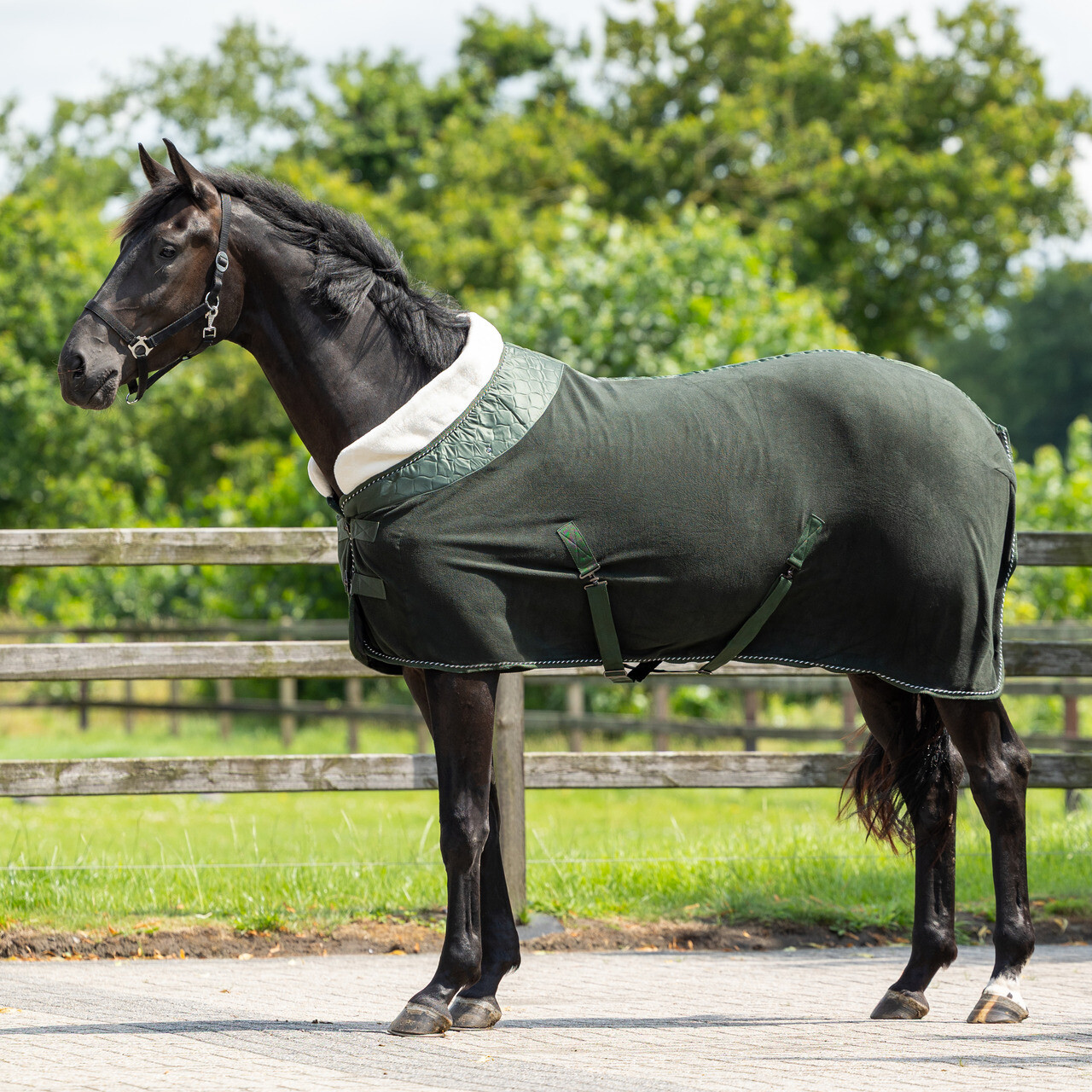 Fleece rug Brilliance