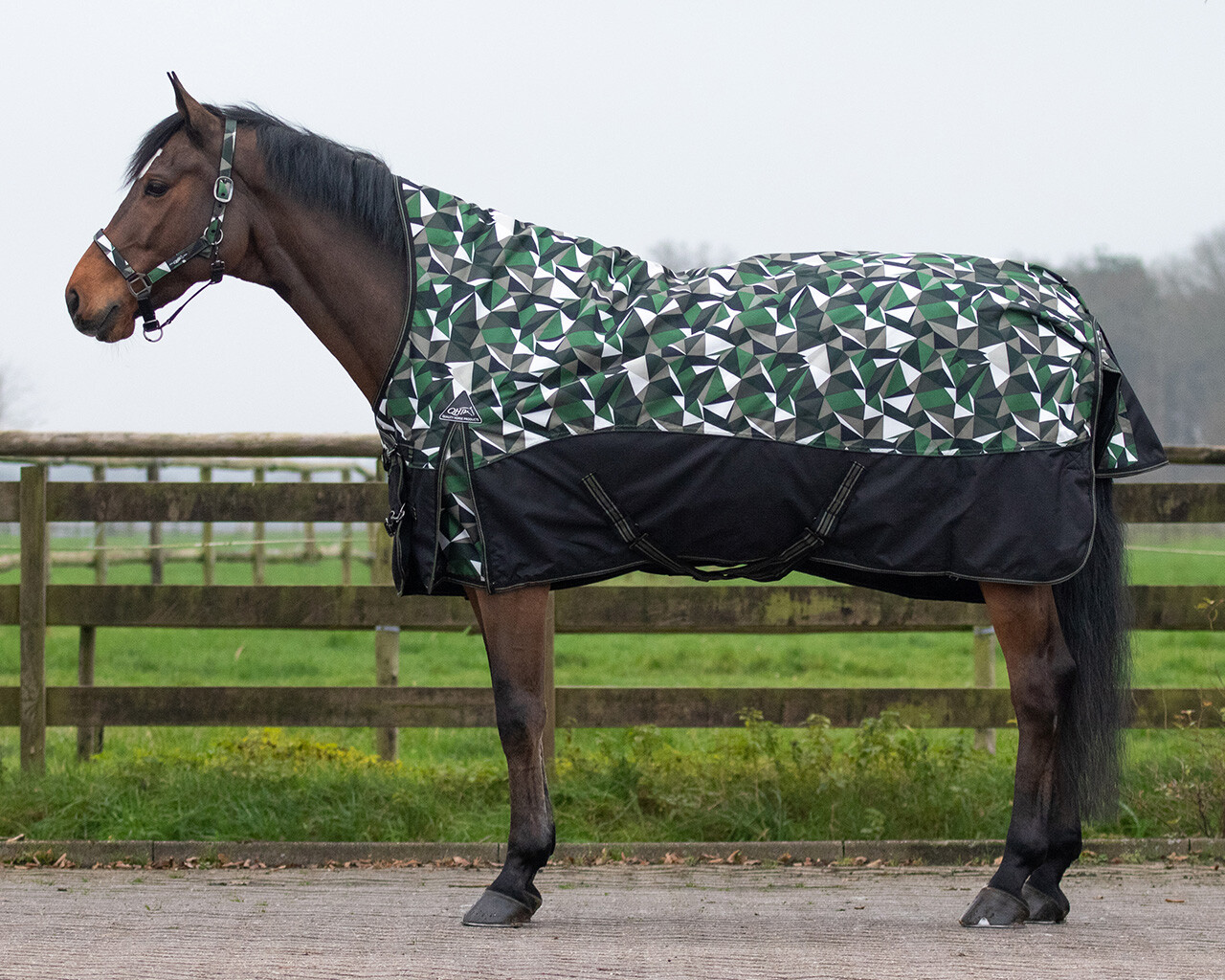 Turnout rug collection half neck 150gr QHP Everything for horse and rider