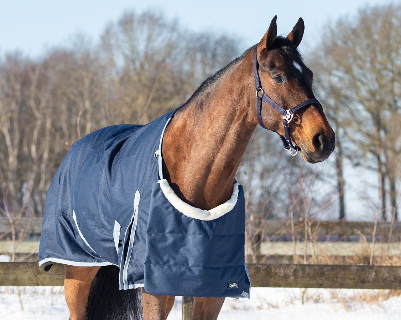 Chest protector Ontario