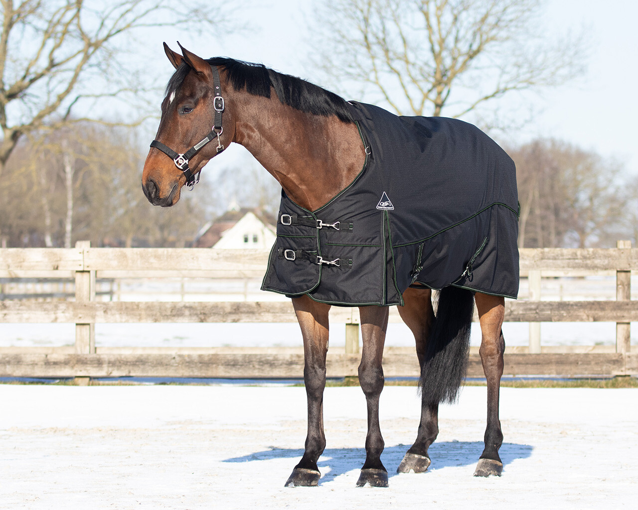 Rug combo set turnout-underrug-neck