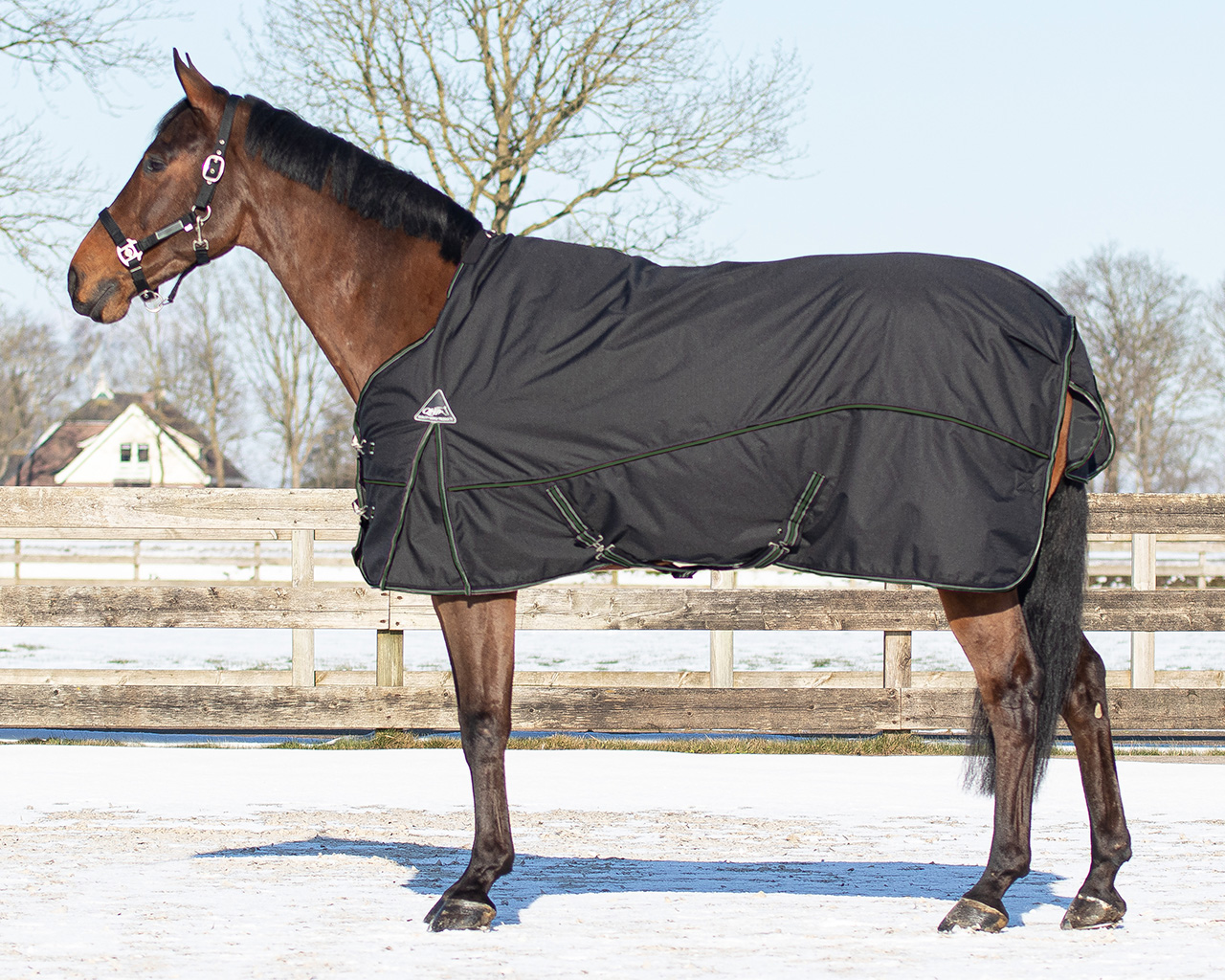 Rug combo set turnout-underrug-neck