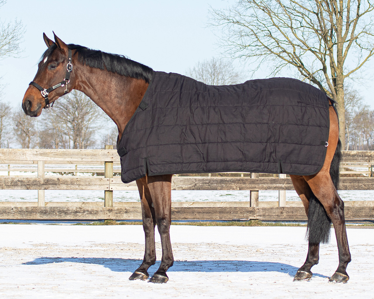 Rug combo set turnout-underrug-neck