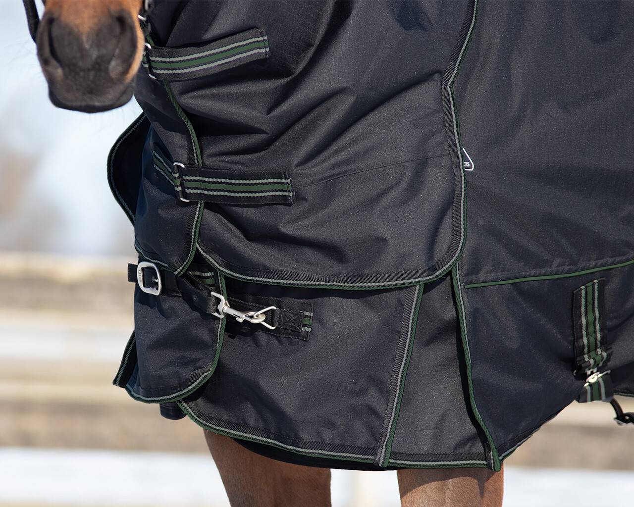 Rug combo set turnout-underrug-neck