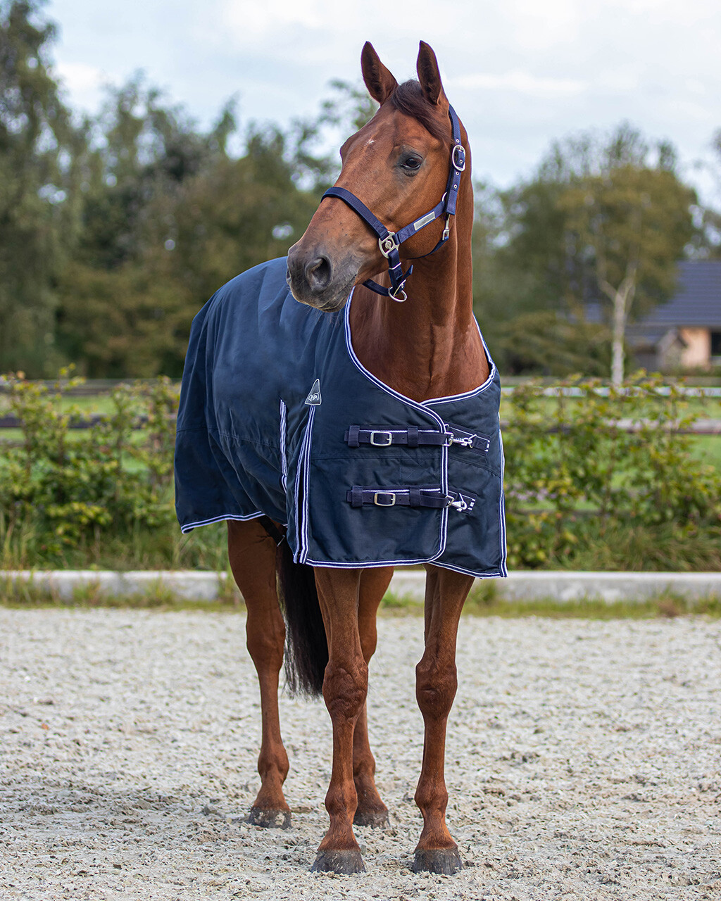 Turnout rug luxury 100gr