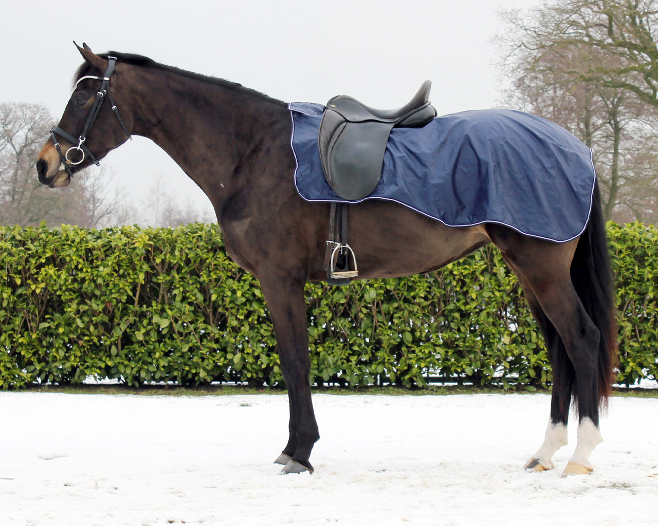 Exercise sheet with fleece lining