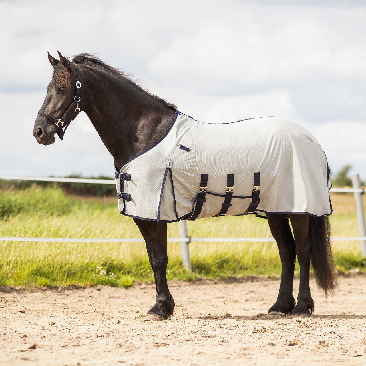 Fly sheet with detachable neck and mask Big neck