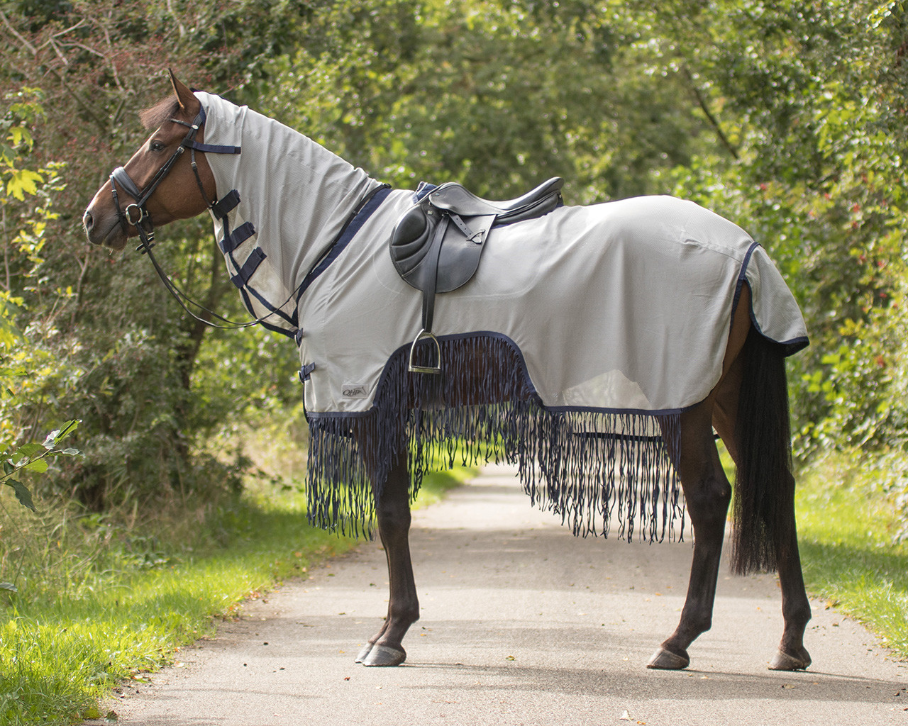 Exercise fly sheet with fringes QHP Everything for horse and rider