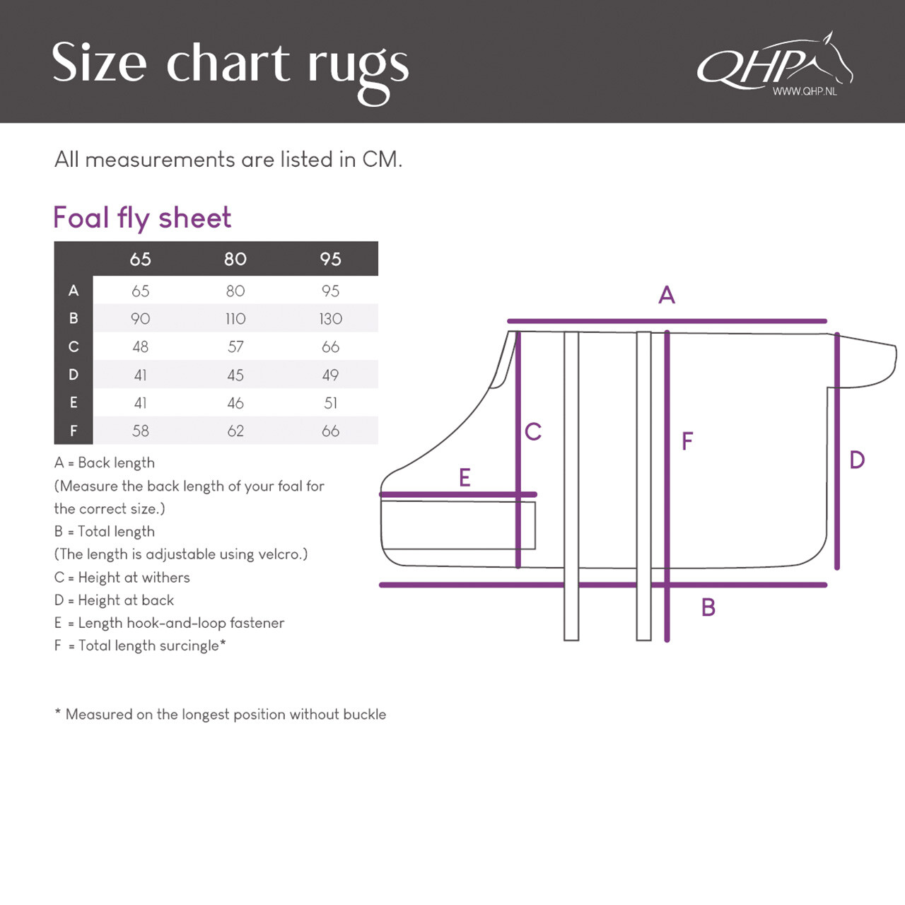 Foal fly sheet