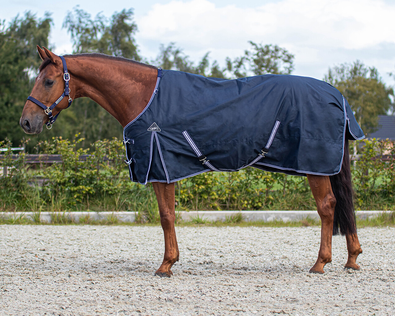 Turnout rug luxury 50gr