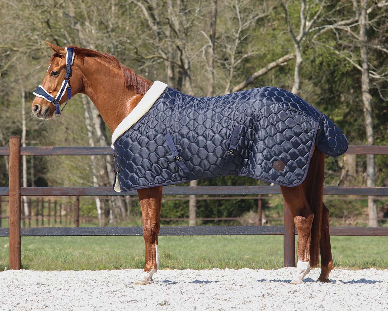 Stabilní koberec Classy Navy