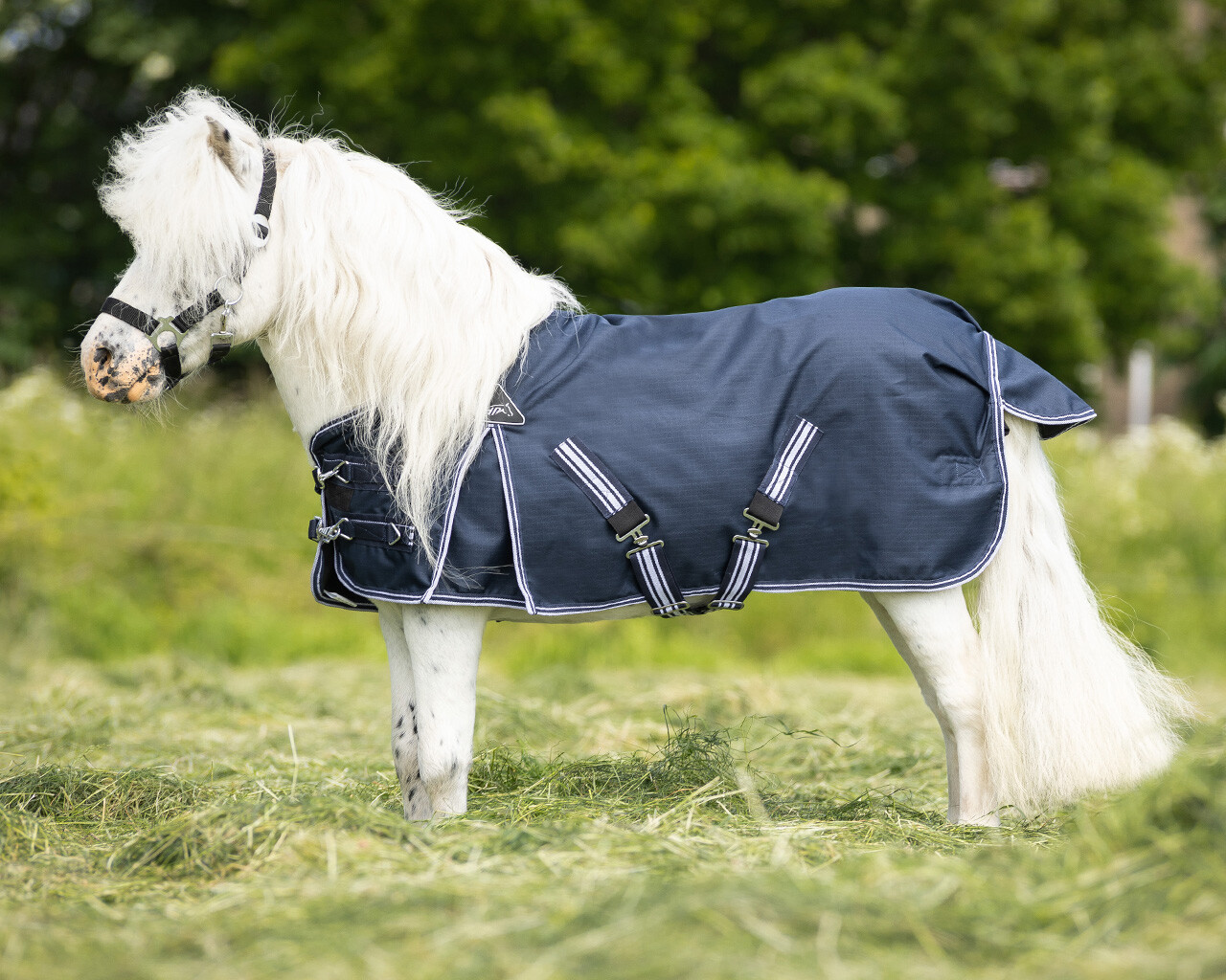 Turnout rug falabella 0gr