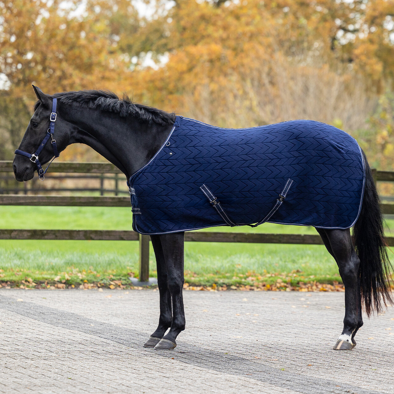 Fleece rug Embossed with detachable neck