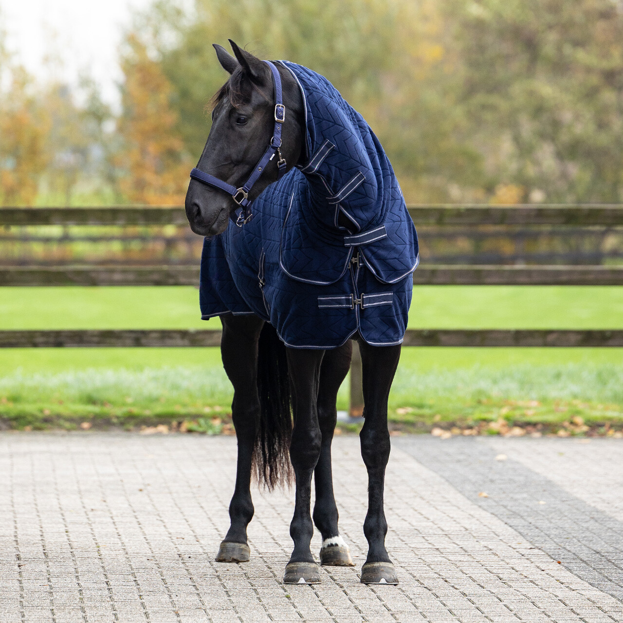 Fleece rug Embossed with detachable neck