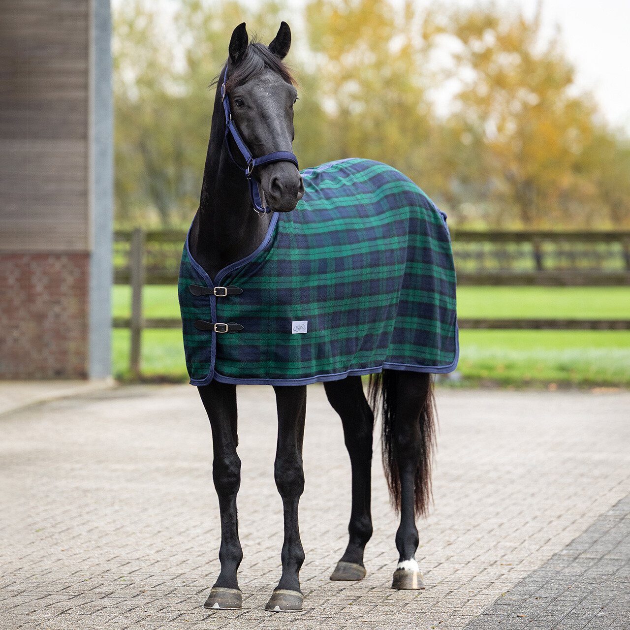 Wool rug check