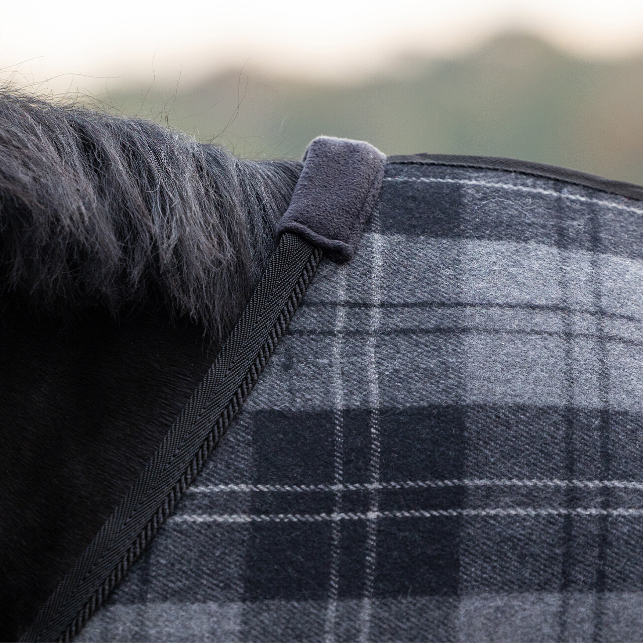Wool rug check