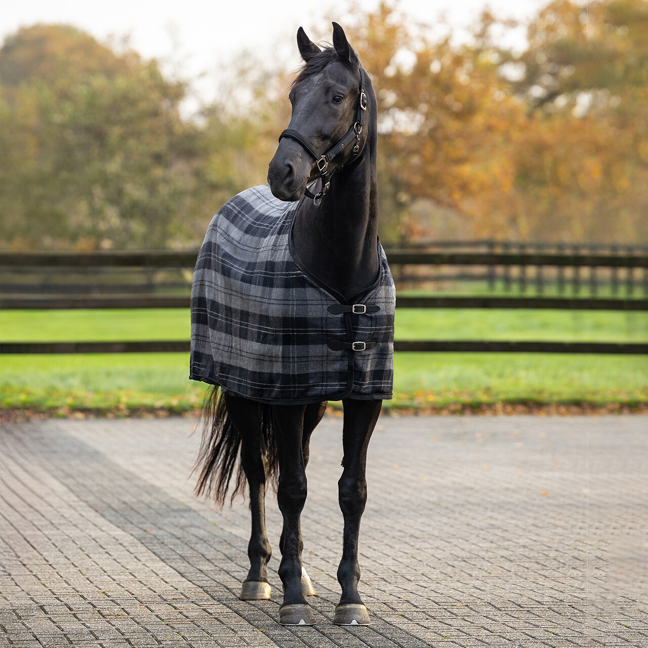 Wool rug check