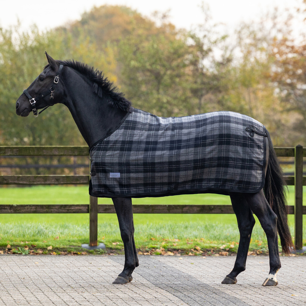 Wool rug check