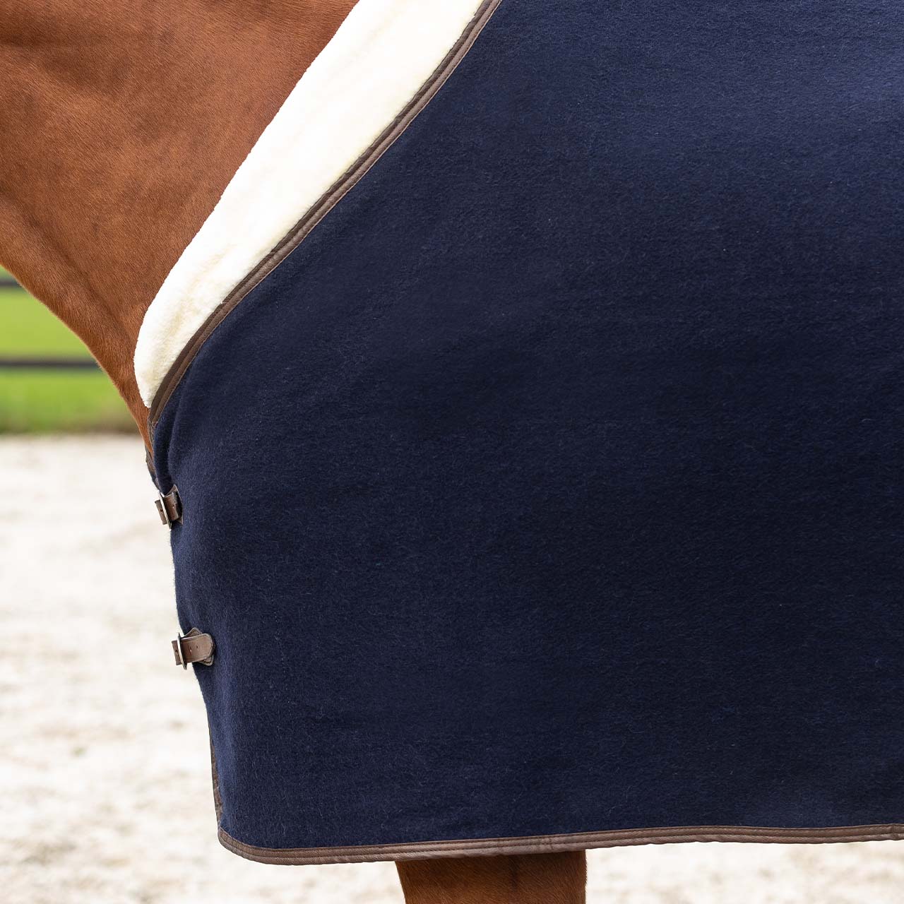 Wool rug Deluxe