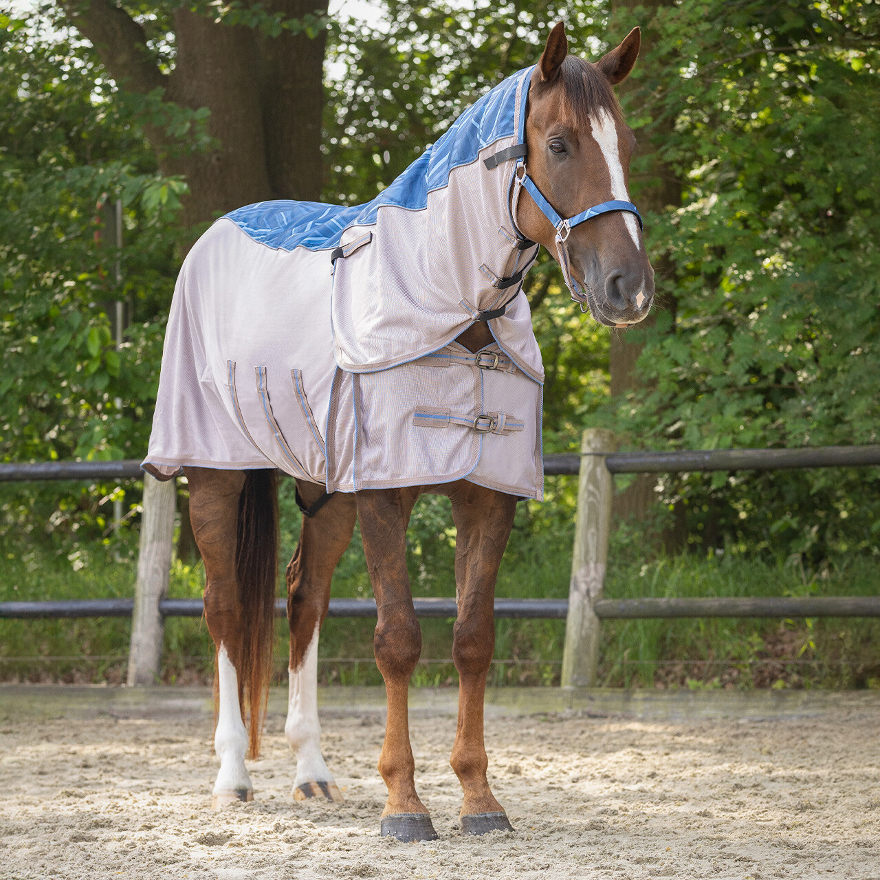 Anti-fly rug combo collection with neck