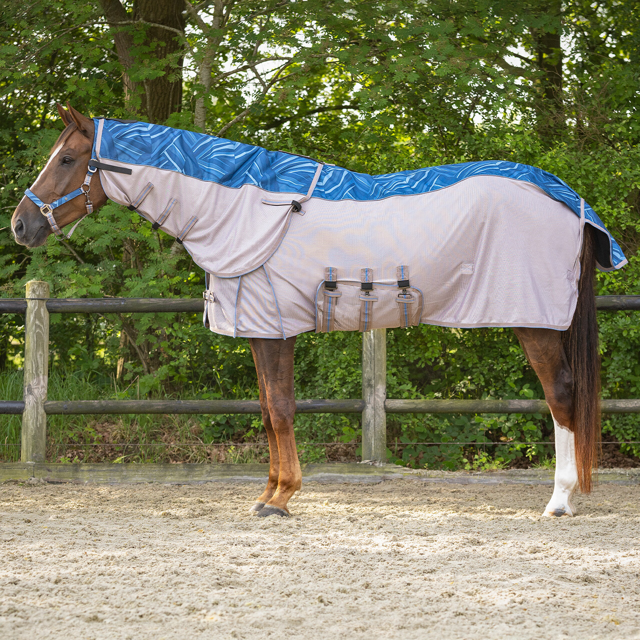 Anti-fly rug combo collection with neck