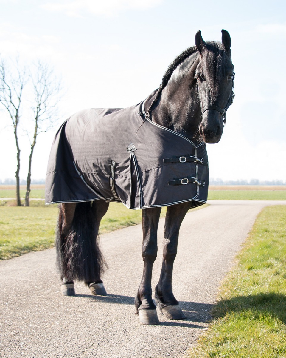Turnout rug Big neck 150gr