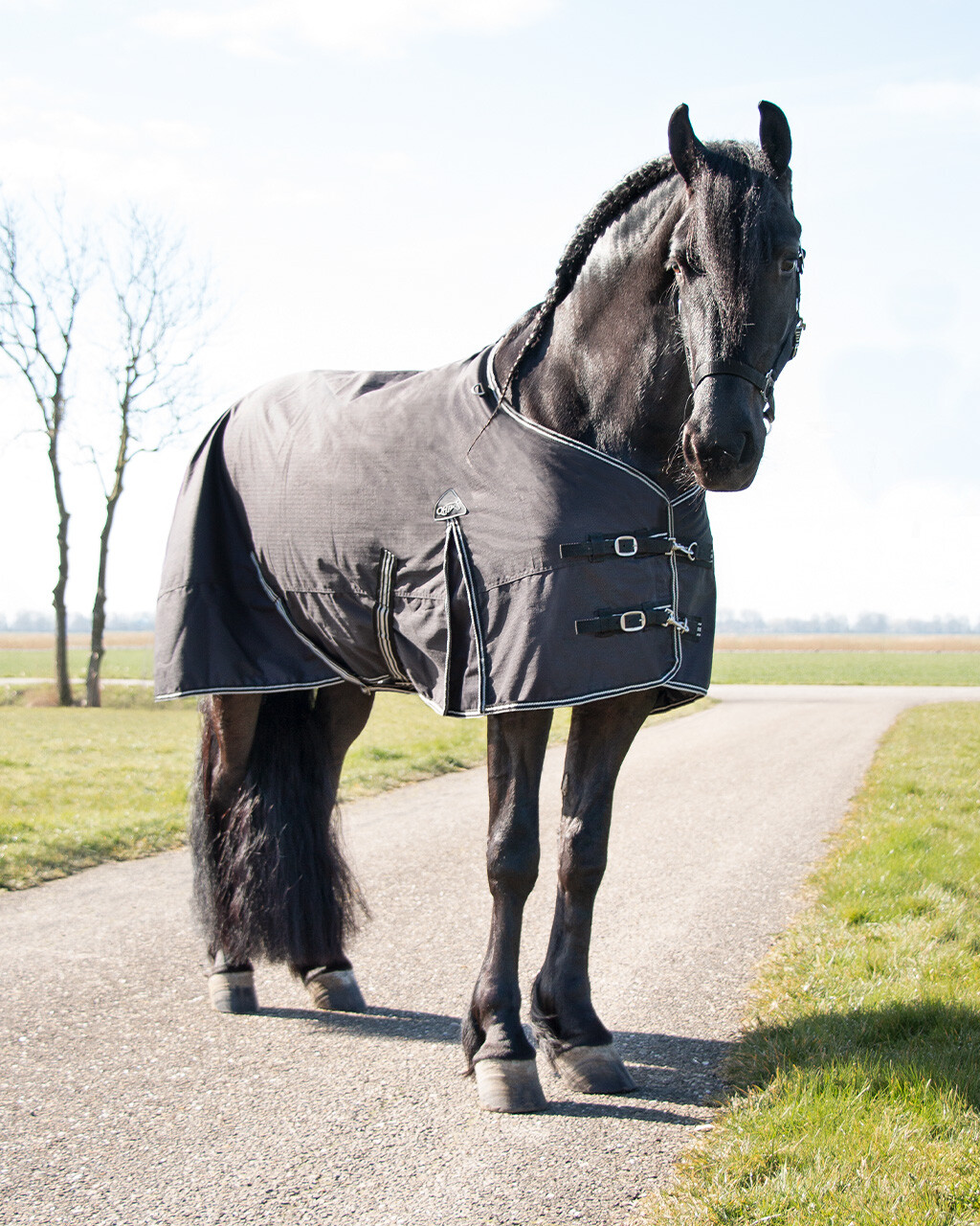Turnout rug Big neck 150gr