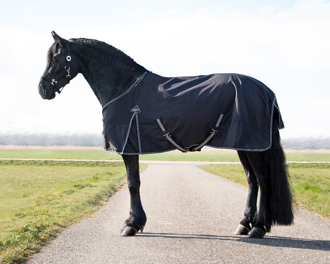 Turnout rug Big neck 150gr