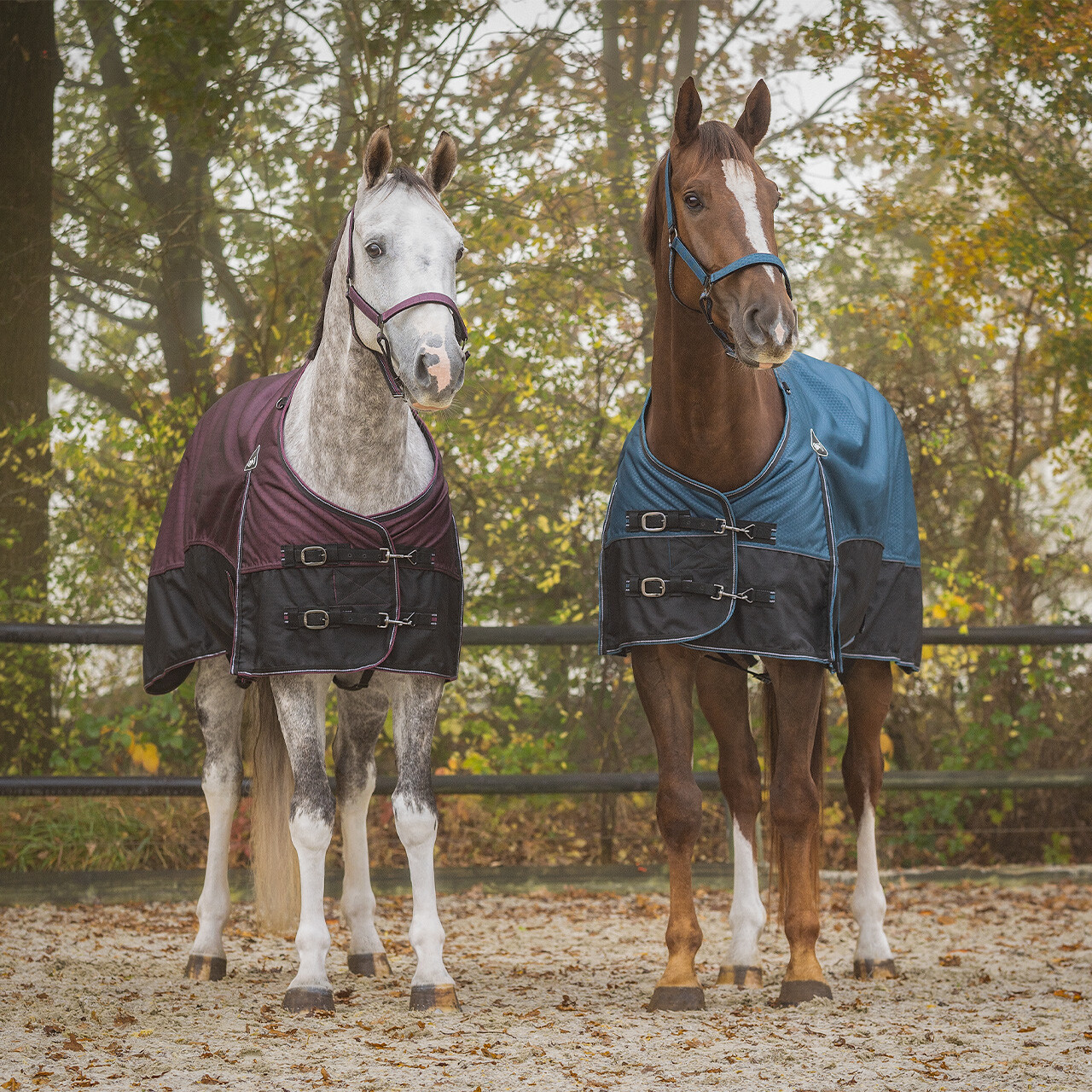 Turnout rug 1200D collection 50gr