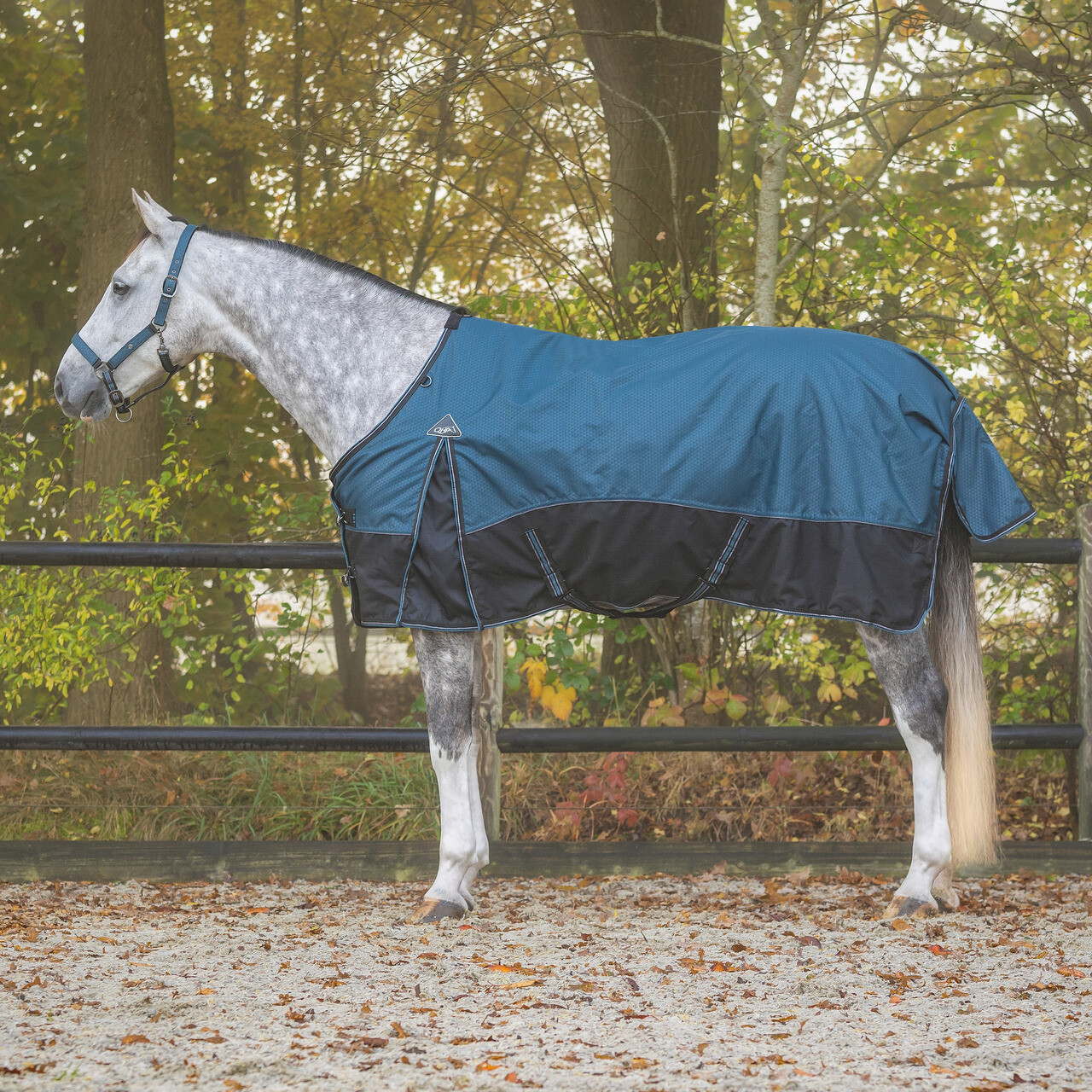 Turnout rug 1200D collection 50gr