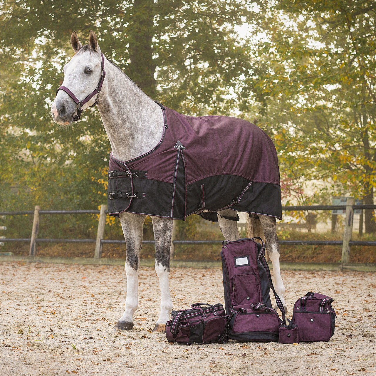 Turnout rug 1200D collection 50gr