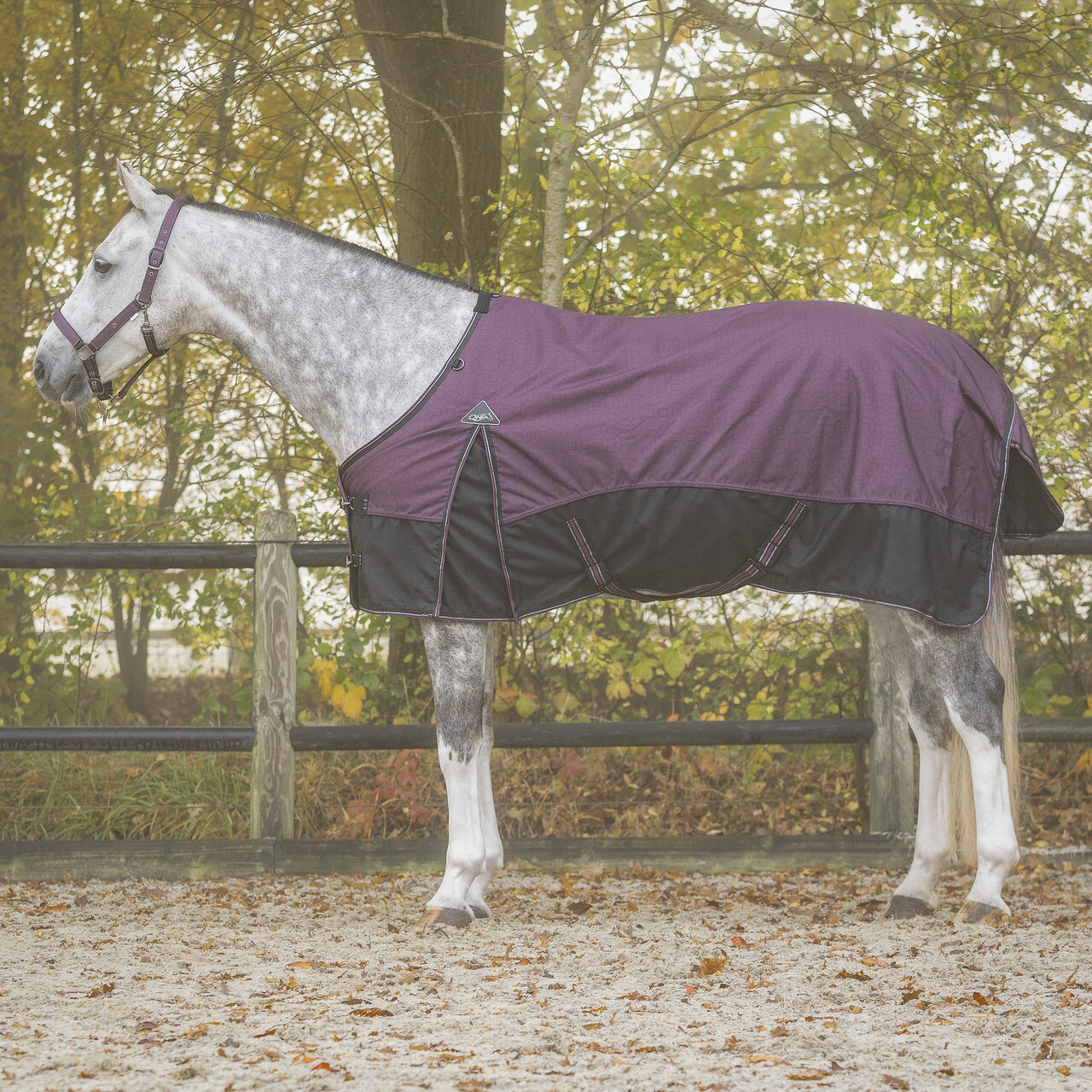 Kolekce vybavení pro koně (Turnout rug) 50gr vínově červená