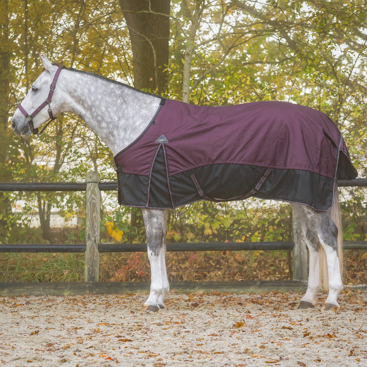Turnout rug 1200D collection 50gr